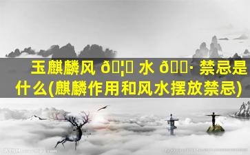 玉麒麟风 🦍 水 🌷 禁忌是什么(麒麟作用和风水摆放禁忌)